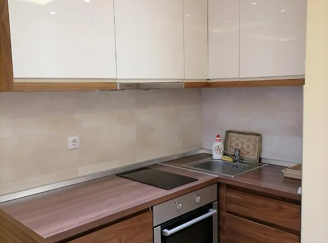 Andela Zlatiborski Konaci 아파트